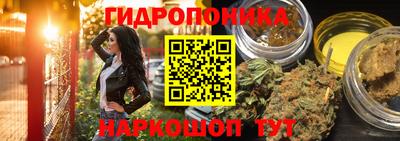 стафф Можга