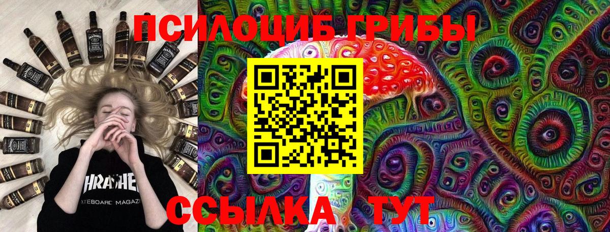 Галлюциногенные грибы ЛСД  Вход с VPN  Галлюциногенные грибы Magic Shrooms  Черняховск 